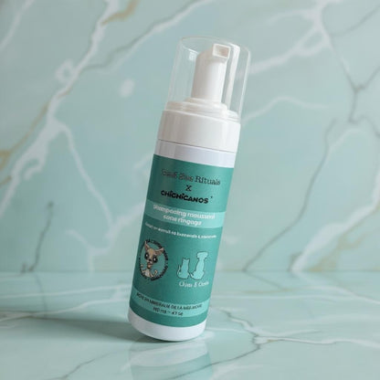 Shampooing - Moussant sans rinçage